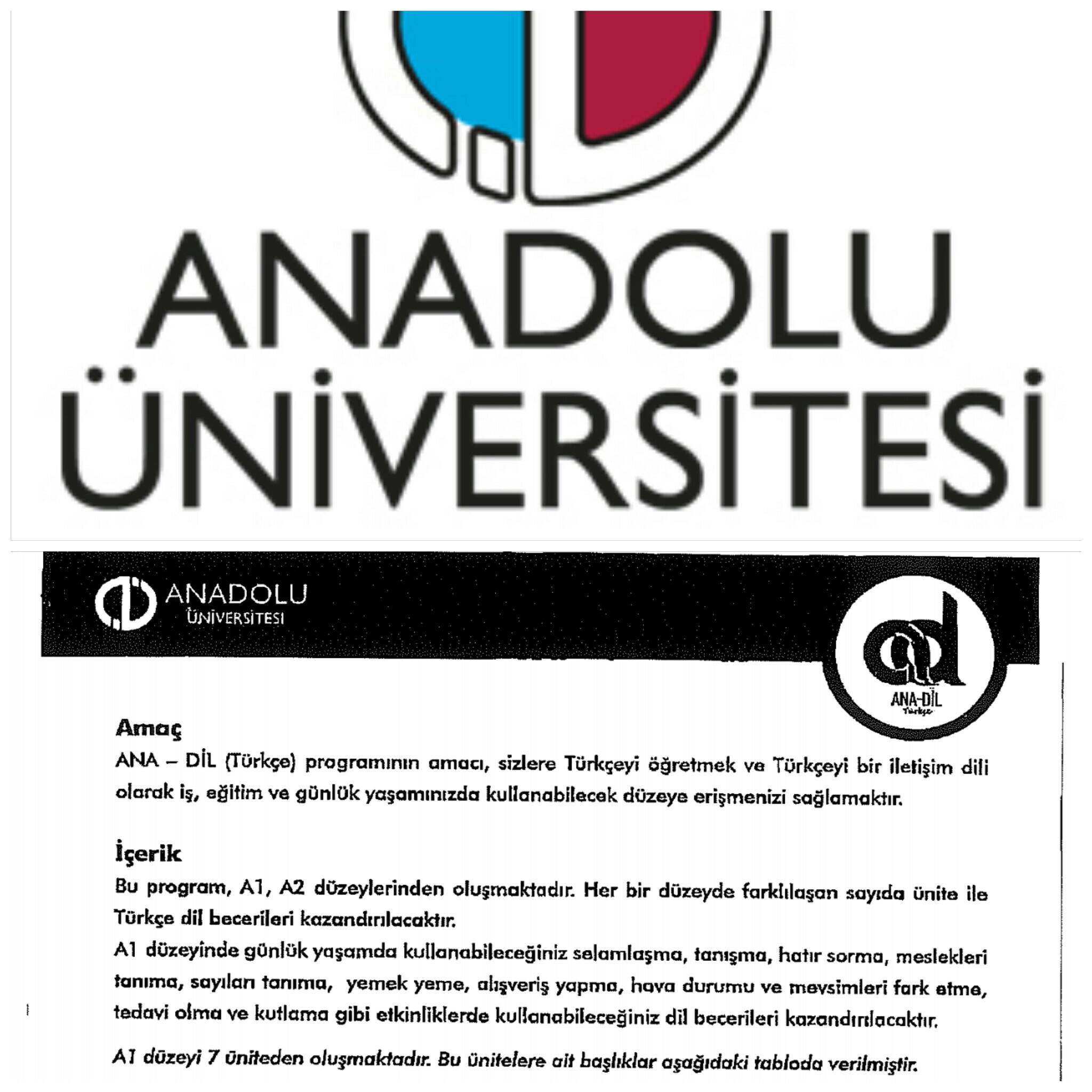 Anadolu Üniversitesi Ana Dil Türkçe eğitim portalı