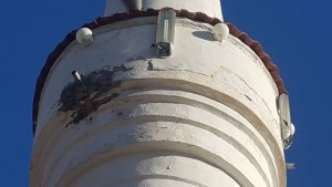 Tosçalı cami minare şerefesinin yıkılmaya yüz tutan hali